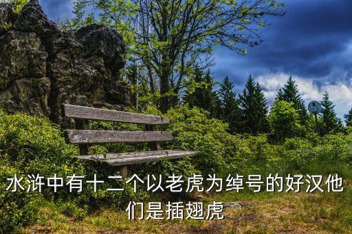 水滸中有十二個以老虎為綽號的好漢他們是插翅虎