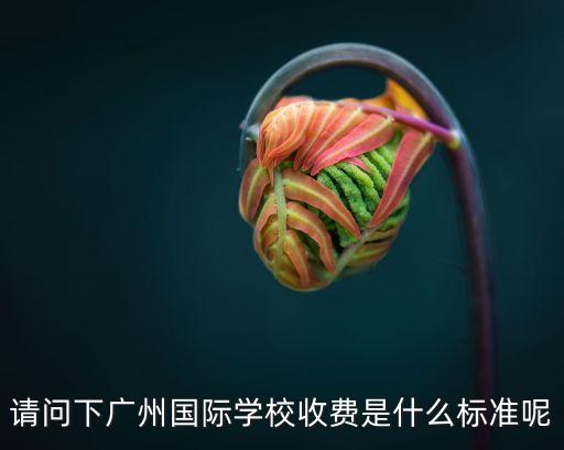 廣州國際班一年學費多少，廣州六中高中國際班學費多少