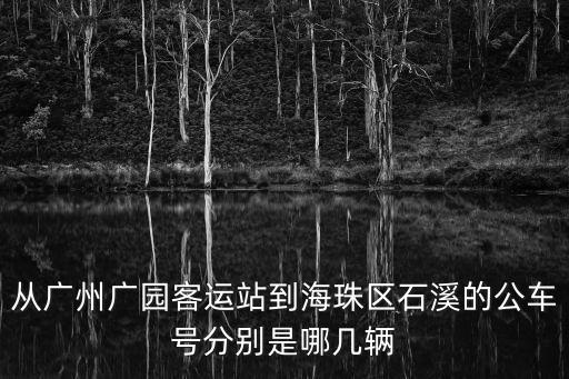 從廣州廣園客運(yùn)站到海珠區(qū)石溪的公車(chē)號(hào)分別是哪幾輛