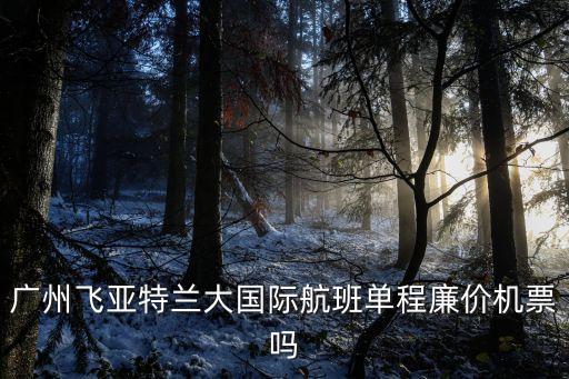 廣州飛亞特蘭大國(guó)際航班單程廉價(jià)機(jī)票嗎