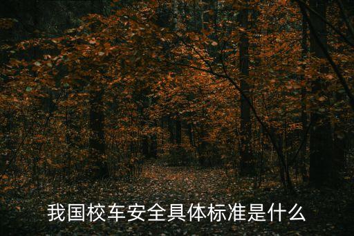 上海市校車安全，藍(lán)牌校車安全嗎