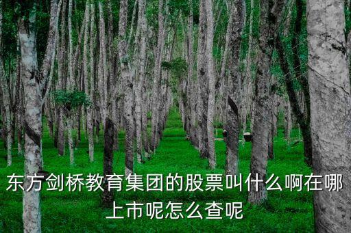 上海市東方劍橋，上海劍橋大學(xué)在那里