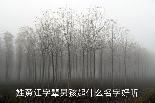 江黃，江黃集屬于新野哪個鄉(xiāng)鎮(zhèn)