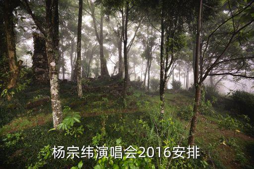 楊宗緯演唱會2016安排