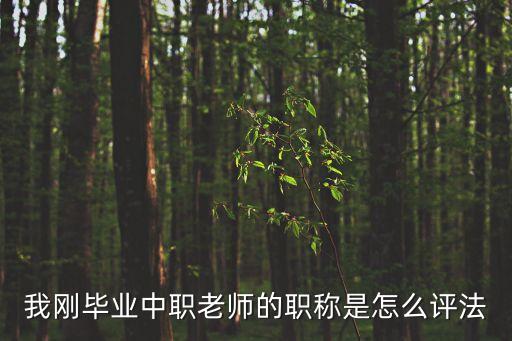 上海市中專教師職稱評定，中職學校教師職稱如何評定
