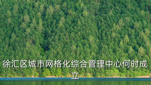 徐匯區城市網格化綜合管理中心何時成立
