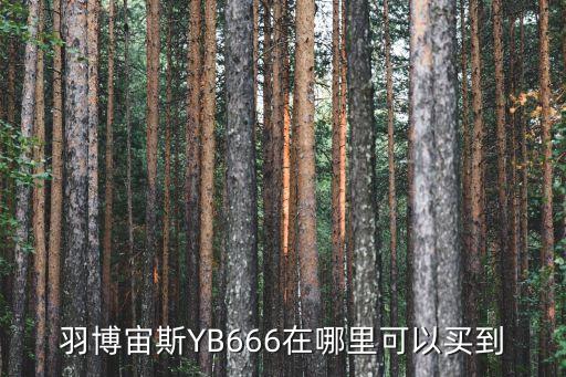 羽博宙斯YB666在哪里可以買到