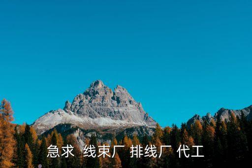 急求  線束廠 排線廠 代工