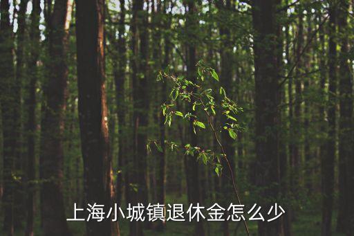 上海市小城鎮退休，上海小城鎮退休金怎么少