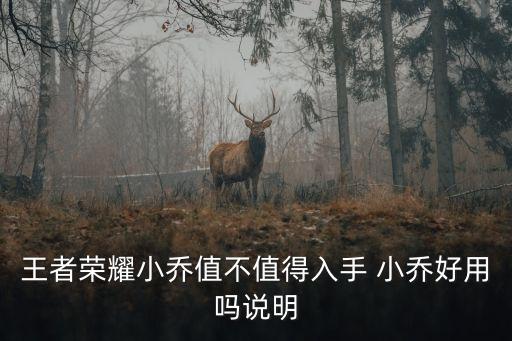 王者榮耀小喬值不值得入手 小喬好用嗎說明