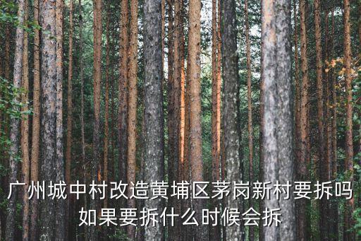 廣州城中村改造黃埔區(qū)茅崗新村要拆嗎如果要拆什么時(shí)候會(huì)拆