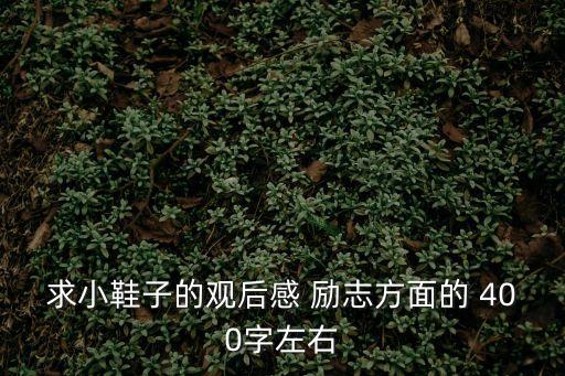 小鞋子觀后感，求小鞋子的觀后感 勵志方面的 400字左右