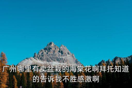 廣州哪里有賣盆栽的海棠花啊拜托知道的告訴我不勝感激啊