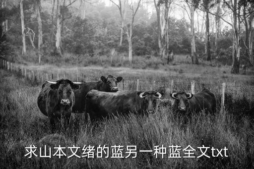 藍另一種藍，關于山本文緒