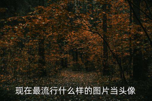 最火微信頭像，現在最流行什么樣的圖片當頭像