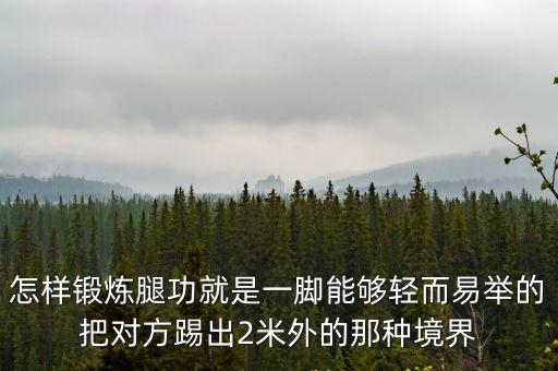 怎樣鍛煉腿功就是一腳能夠輕而易舉的把對方踢出2米外的那種境界