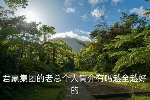 君豪集團(tuán)的老總個(gè)人簡(jiǎn)介有嗎越全越好的
