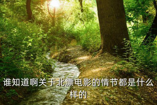 誰知道啊關于北漂電影的情節(jié)都是什么樣的