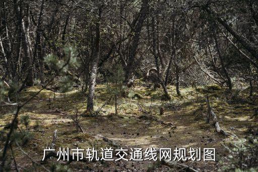 廣州到東平地鐵規劃，廣州市軌道交通線網規劃圖