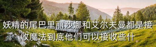 妖精的尾巴里麗莎娜和艾爾夫曼都是接收魔法到底他們可以接收些什