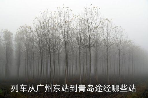 列車(chē)從廣州東站到青島途經(jīng)哪些站