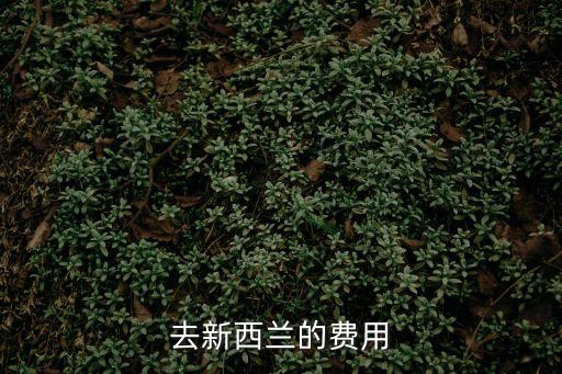 新西蘭出國費(fèi)用，去新西蘭的費(fèi)用