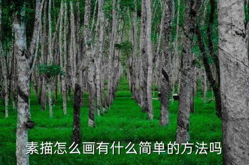 簡單的畫畫教程，簡單的蝴蝶怎么畫