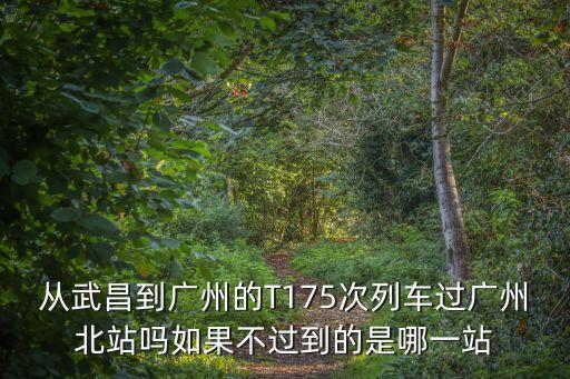 武昌到廣州t175，武昌火車站到廣州火車站坐什么車最快