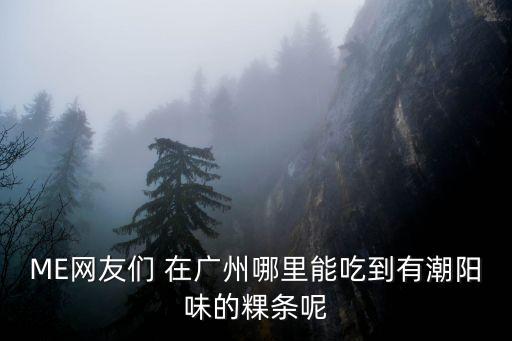ME網(wǎng)友們 在廣州哪里能吃到有潮陽味的粿條呢