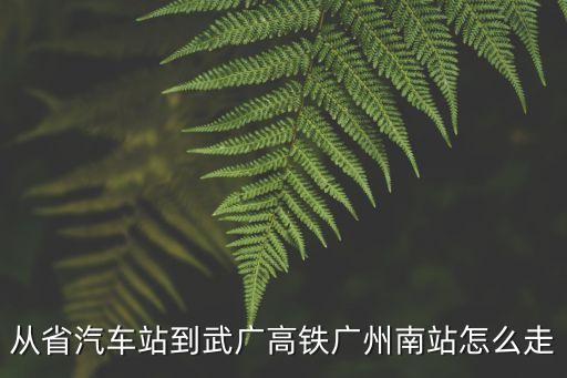 鄂州汽車站到廣州南站怎么走，到廣州南站怎么走