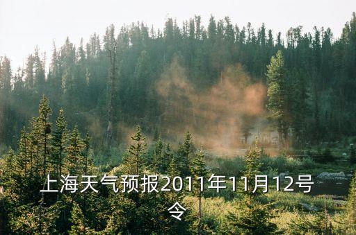 上海市氣象局第31號文，國藥準字Z H分別是什么意思