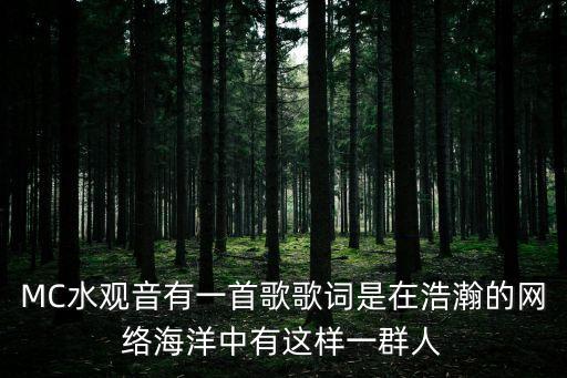 有這樣一群人，MC水觀音有一首歌歌詞是在浩瀚的網(wǎng)絡(luò)海洋中有這樣一群人