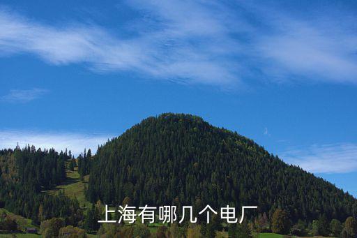 上海市閘北電廠，上海的閘北電廠屬于國家電網么