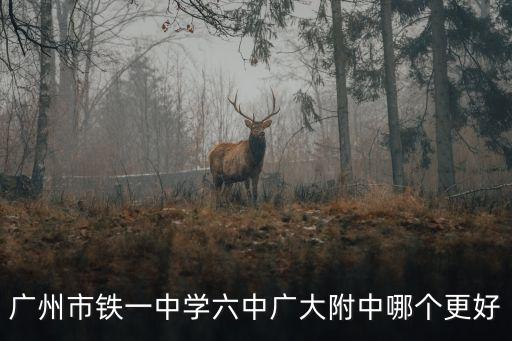 廣州廣大附中大學(xué)城排名，廣州大學(xué)城的學(xué)校排名