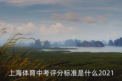 上海體育中考評分標準是什么2021