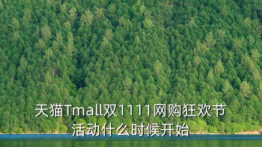 天貓雙11晚會，天貓雙11晚會從那一年開始的