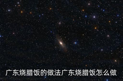 廣州燒臘飯的做法大全，廣式燒臘飯怎么做