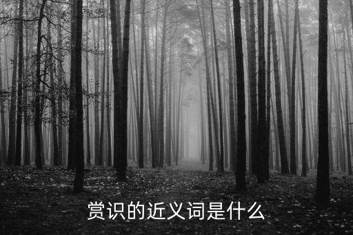 賞識的近義詞，賞識的近義詞