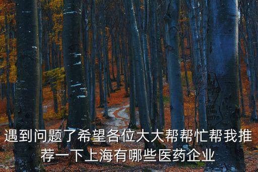 遇到問(wèn)題了希望各位大大幫幫忙幫我推薦一下上海有哪些醫(yī)藥企業(yè)