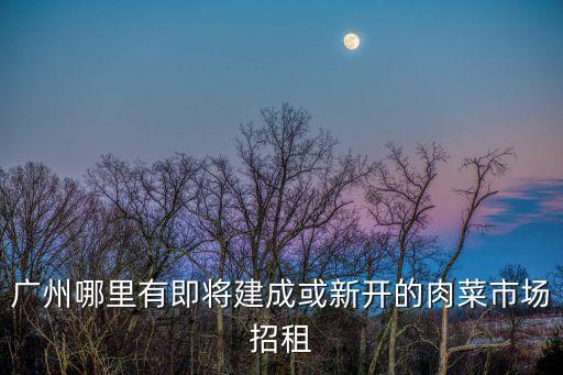 廣州哪里有即將建成或新開的肉菜市場招租