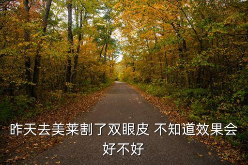 廣州美萊雷濤雙眼皮手術(shù)效果，昨天去美萊割了雙眼皮 不知道效果會好不好