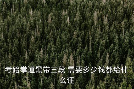 廣州武術段位證多少錢，考跆拳道黑帶三段 需要多少錢都給什么證