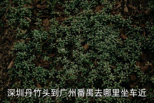 深圳丹竹頭到廣州番禺去哪里坐車(chē)近