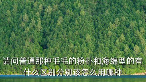 海綿粉撲，硅膠粉撲和海綿粉撲那個比較好