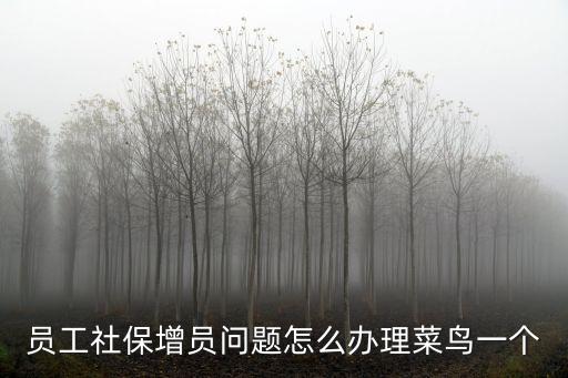 上海市網上辦理社保增員，如何辦理社保增員手續