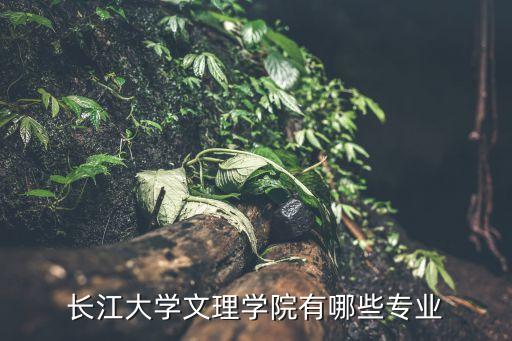 長(zhǎng)江文理學(xué)院，長(zhǎng)江大學(xué)文理學(xué)院是公辦還是民辦大學(xué)