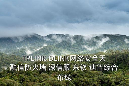 TPLINK DLINK網絡安全天融信防火墻 深信服 東軟 迪普綜合布線