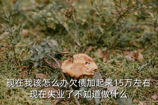 負(fù)債15萬在廣州的生活，今年30歲負(fù)債15萬我該何去何從