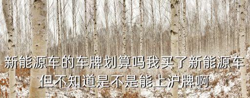 新能源車的車牌劃算嗎我買了新能源車但不知道是不是能上滬牌啊