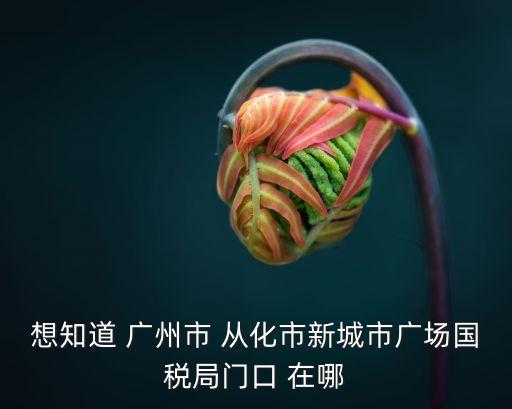廣州省從化市新城廣場圖片，廣州花城廣場的具體位置